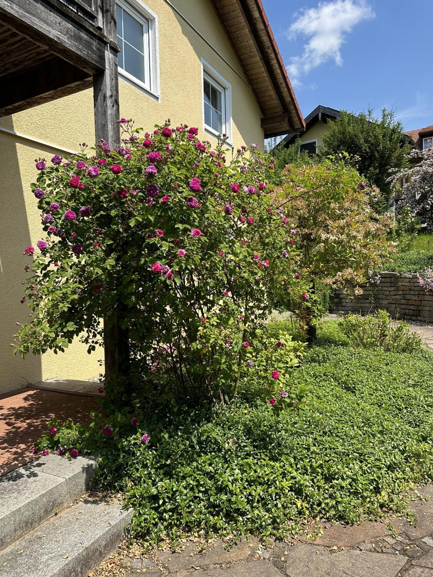 Apartament Meywohnen Bad Endorf Zewnętrze zdjęcie